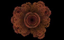 2014 04 26 Afternoon From Blanks 26-black.jpg